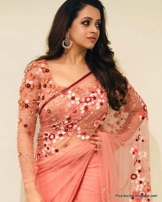 Long Sleeve blouse with floral saree