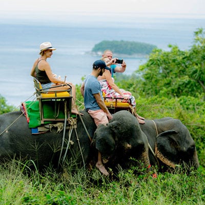 elephant safari phuket